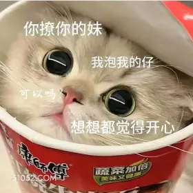 你撩你的妹我泡我的仔 猫猫 撩汉 甜言蜜语 文案