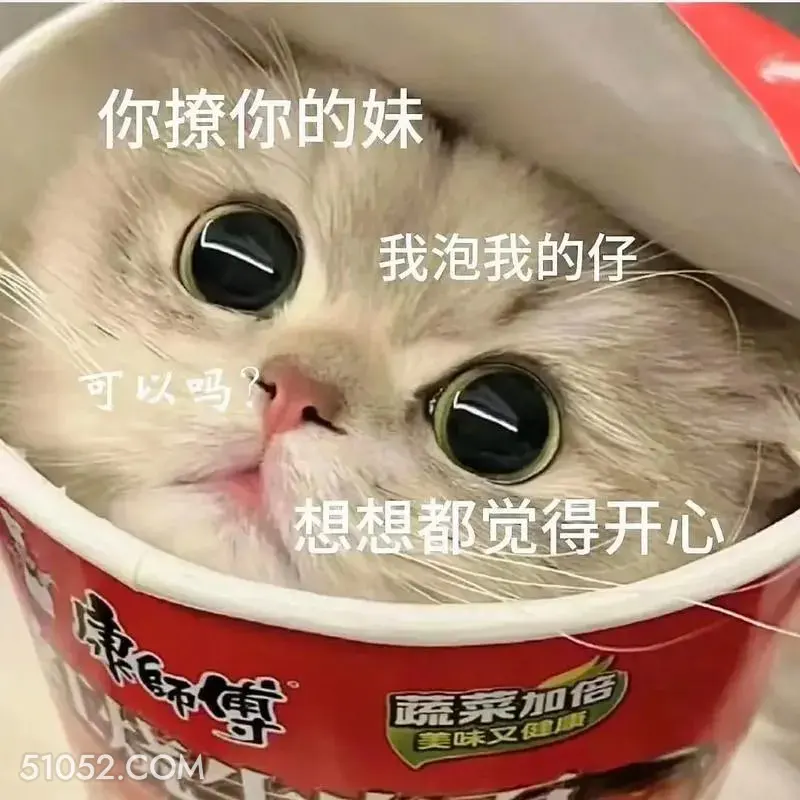 你撩你的妹我泡我的仔 猫猫 撩汉 甜言蜜语 文案