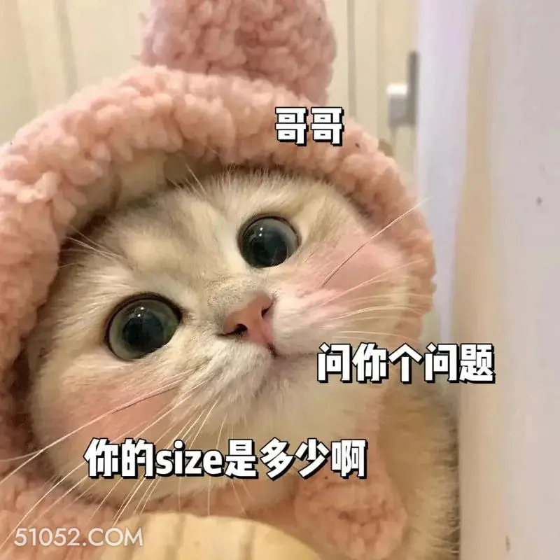 你的size是多少 猫猫 撩汉 甜言蜜语 文案