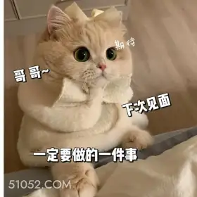 下次见面一定要做... 猫猫 撩汉 甜言蜜语 文案