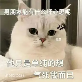 男朋友只是单纯想气死我 猫猫 撩汉 甜言蜜语 文案