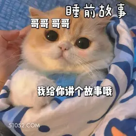 给你讲个故事哦 猫猫 撩汉 甜言蜜语 文案