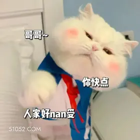 人家好难受 猫猫 撩汉 甜言蜜语 文案