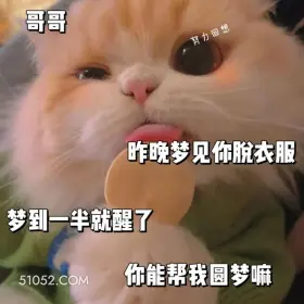 昨晚梦到你脱衣服 猫猫 撩汉 甜言蜜语 文案