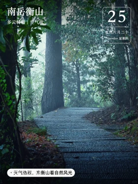 石板路 湖南 衡阳市 衡山 风景 2024年7月25日 农历六月二十 甲辰年辛未月庚寅日 森林 清凉