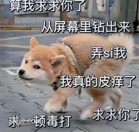 犯贱狗求打 犯贱 求打