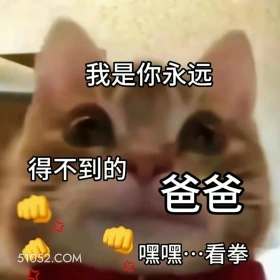 猫咪沙雕套路 套路 猫咪 爸爸 打不着我