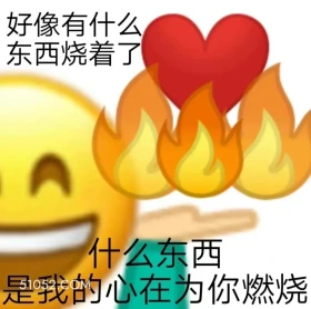 燃烧的心 燃烧的心 爱心 微笑 emoji