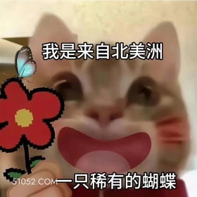 套路 猫咪 爸爸 打不着我 我是来自北美洲的一只稀有蝴蝶