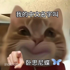 我是你爹 套路 猫咪 爸爸 打不着我