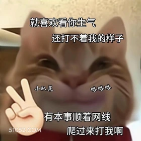 套路 猫咪 爸爸 打不着我 就喜欢看你生气，还打不着我的样子，有本事顺着网线爬过来打我啊