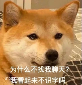 可怜的柴犬 柴犬 可怜 要哭了 恋爱 犯贱