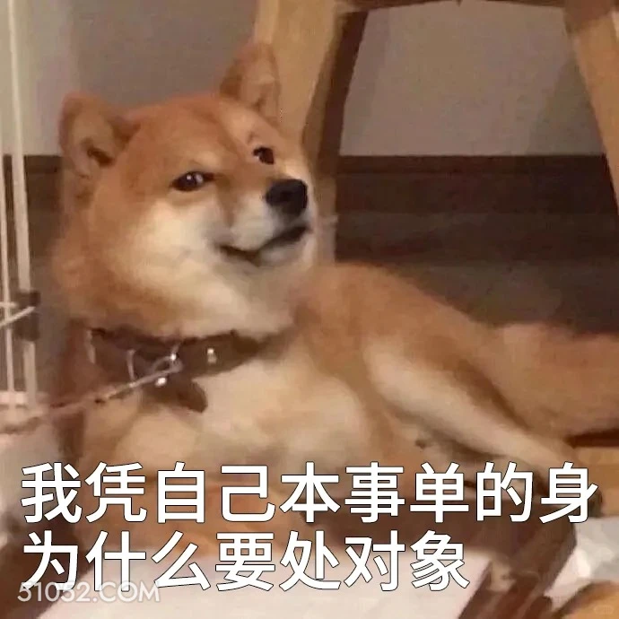 我凭本事单身，为什么要处对象 单身狗 搞笑表情