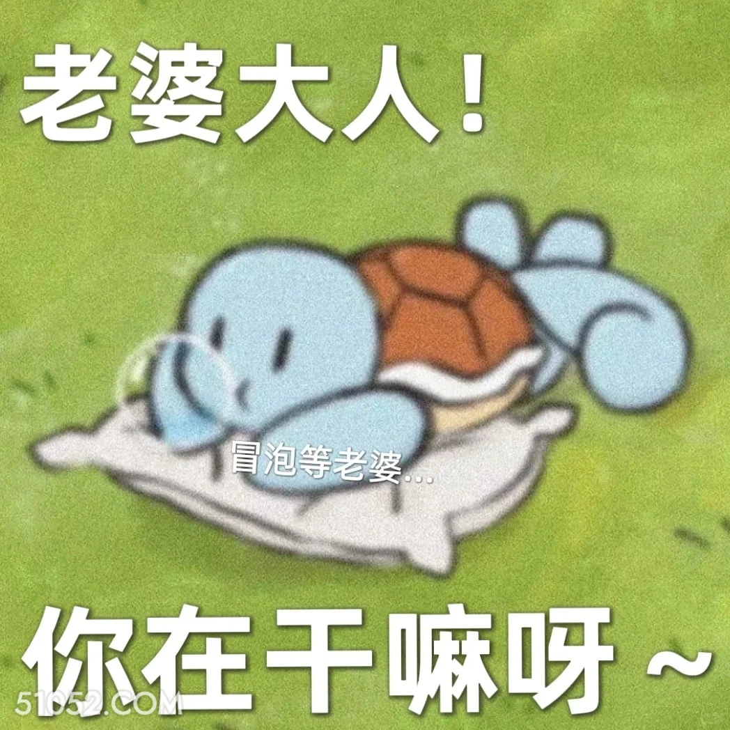 老婆大人你在干嘛呀 杰尼龟 老婆大人 情话 恋爱日常