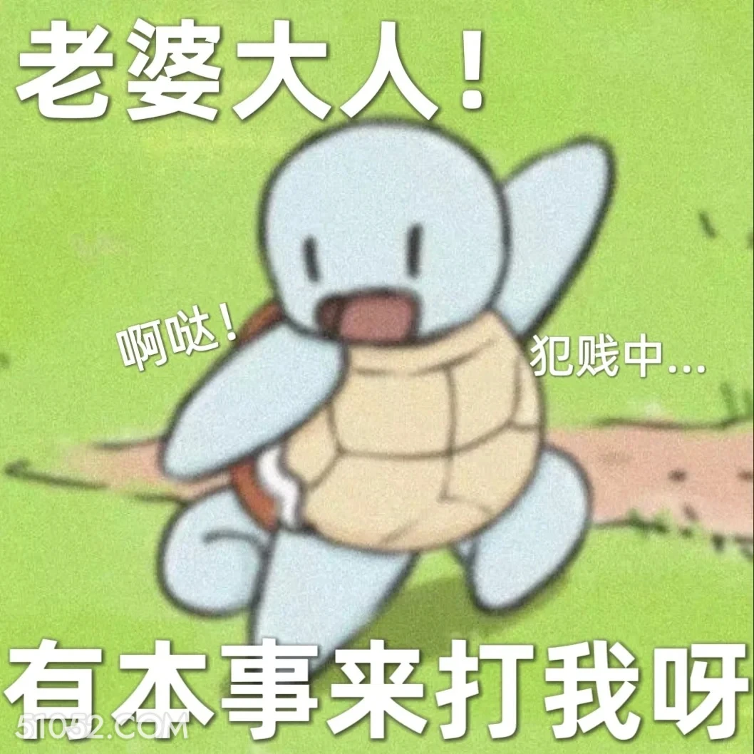 老婆大人有本事打我呀 杰尼龟 老婆大人 情话 恋爱日常