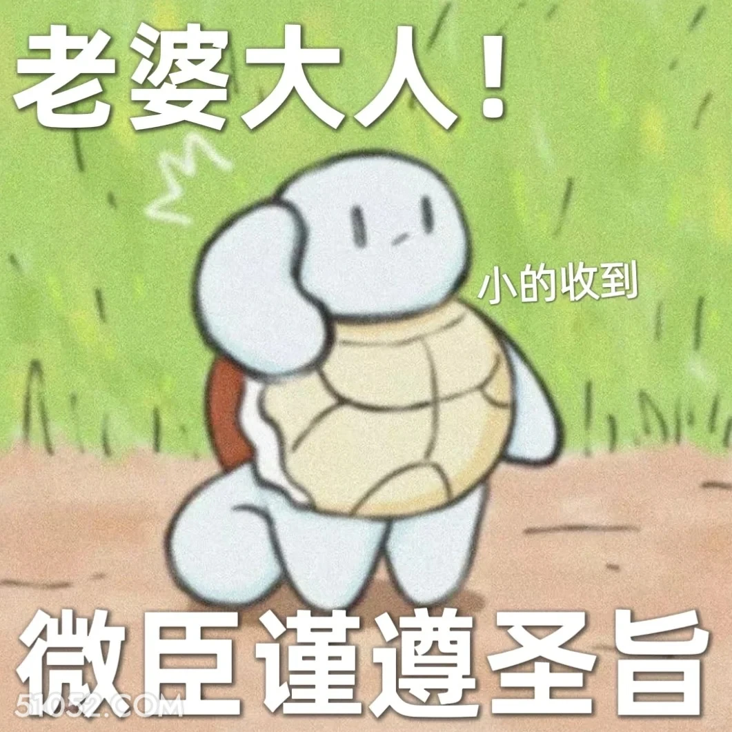 老婆大人微臣谨遵圣旨 杰尼龟 老婆大人 情话 恋爱日常