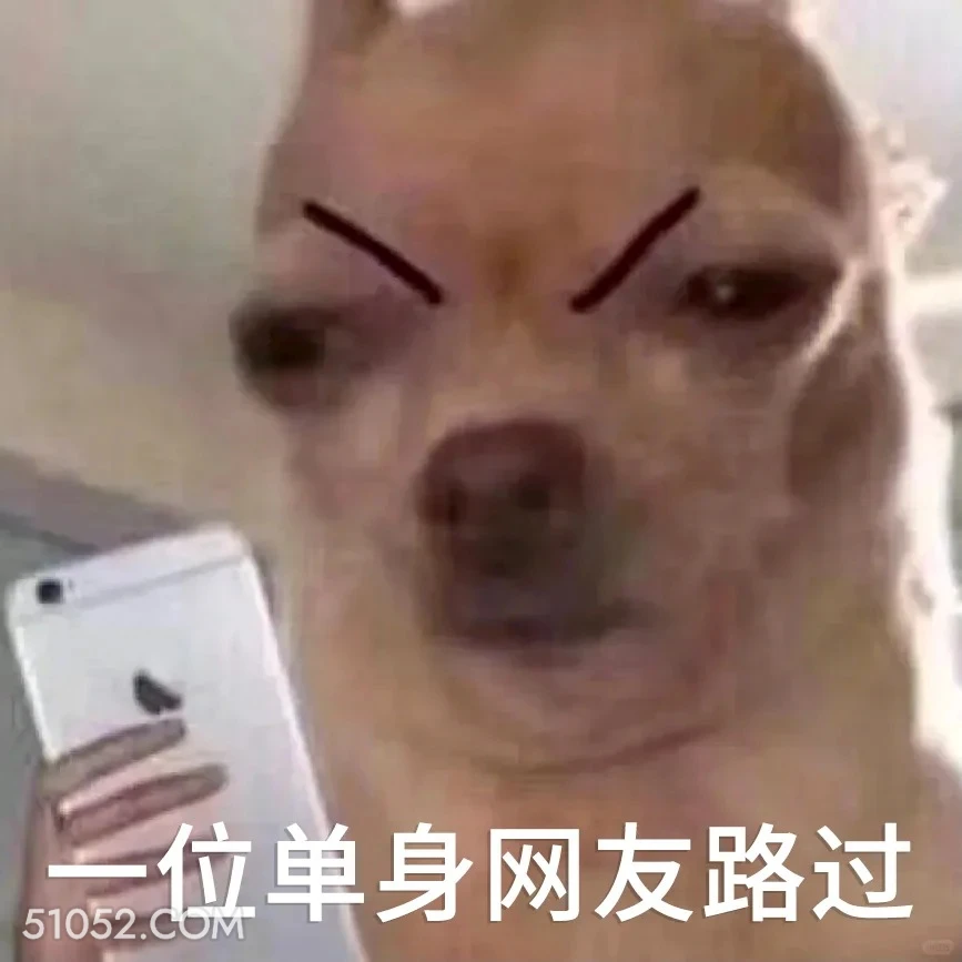 一位单身网友路过 单身狗 搞笑表情