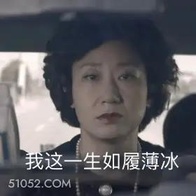 感叹 1988 豹子女士 如履薄冰 感叹