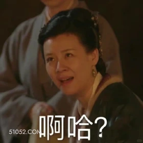 啊哈? 知否知否 影视剧 搞笑表情 大娘子 赵丽颖