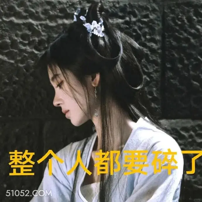 整个人都要碎了 花间令 影视剧 搞笑表情 鞠婧祎