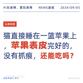 猫睡在苹果上苹果还能吃吗？ 新闻 头条热搜 2024年9月5日 甲辰年壬申月壬申日