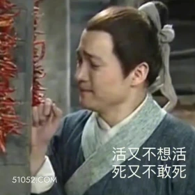 武林外传 影视剧 搞笑表情 同福客栈 郭芙蓉 活又不想活 死又不敢死