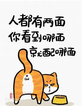 人都有两面 猫猫 不被定义 有道理 文案