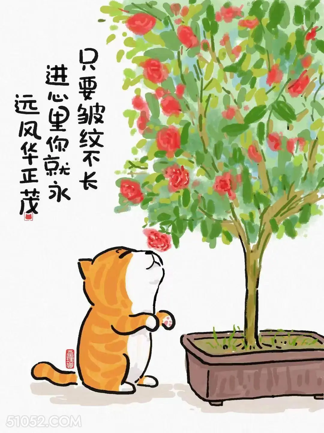 只要皱纹不长进心里就永远风华正茂 猫猫 现实 真理 文案