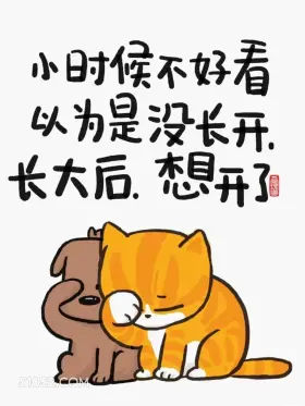 小时候不好看以为是没长开，长大后想开了 猫猫 精辟 文案