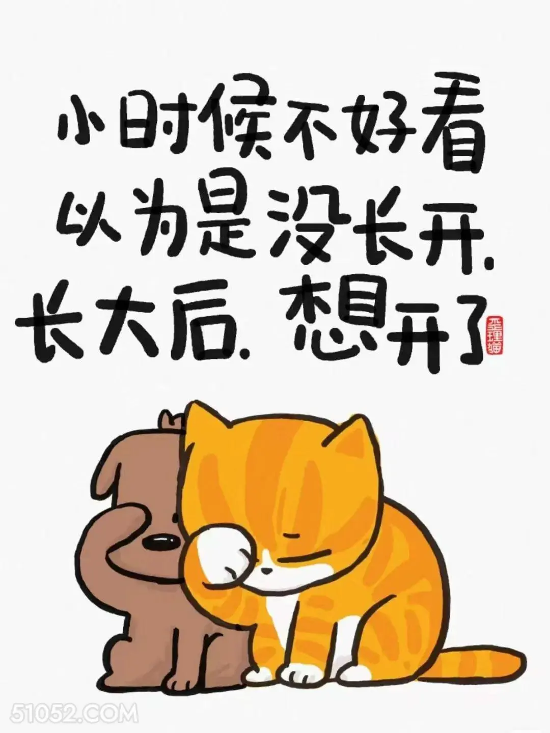 小时候不好看以为是没长开，长大后想开了 猫猫 精辟 文案