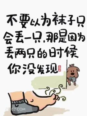 不要以为袜子只会丢一只，丢2只时只是你没发现 猫猫 歪理 搞笑文案