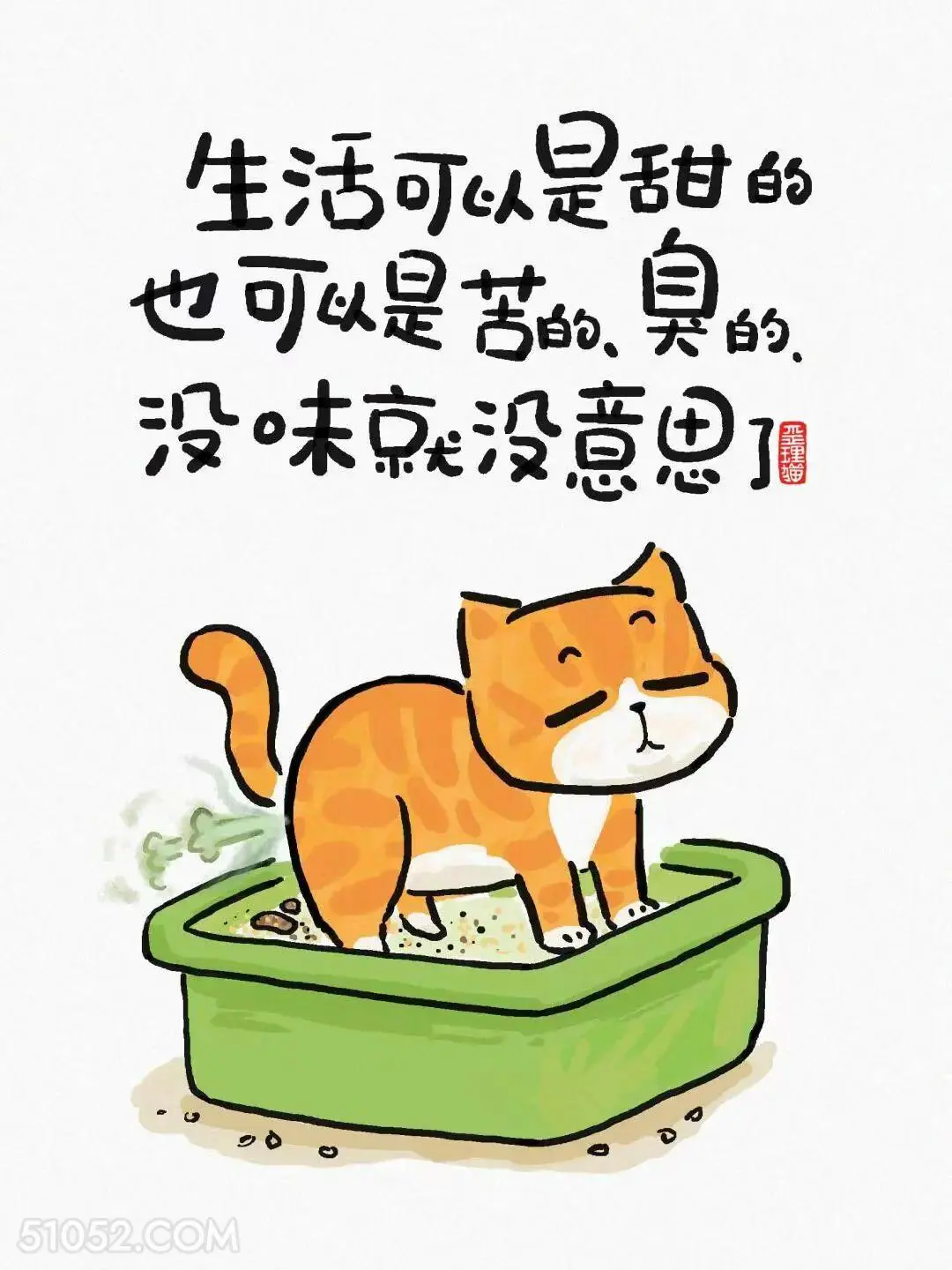 生活可以甜可以臭不可以没味 猫猫 现实 真理 文案