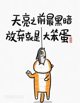 天亮之前最黑暗,放弃就是大笨蛋 猫猫 话糙理不糙 搞笑文案