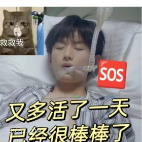 又多活了一天，很棒棒 南风知我意 影视剧 搞笑表情 成毅