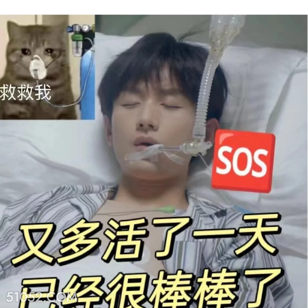 又多活了一天，很棒棒 南风知我意 影视剧 搞笑表情 成毅