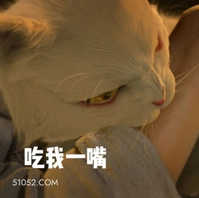 吃我一嘴 大理寺少卿游 影视剧 搞笑表情 猫猫 李饼 举重