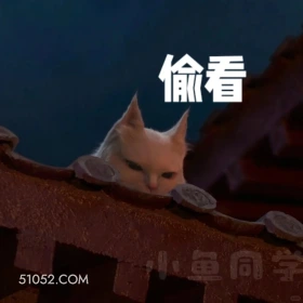 大理寺少卿游 影视剧 搞笑表情 猫猫 李饼 举重 偷看 鱼同学 小红书