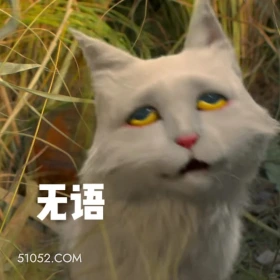 无语 大理寺少卿游 影视剧 搞笑表情 猫猫 李饼 举重