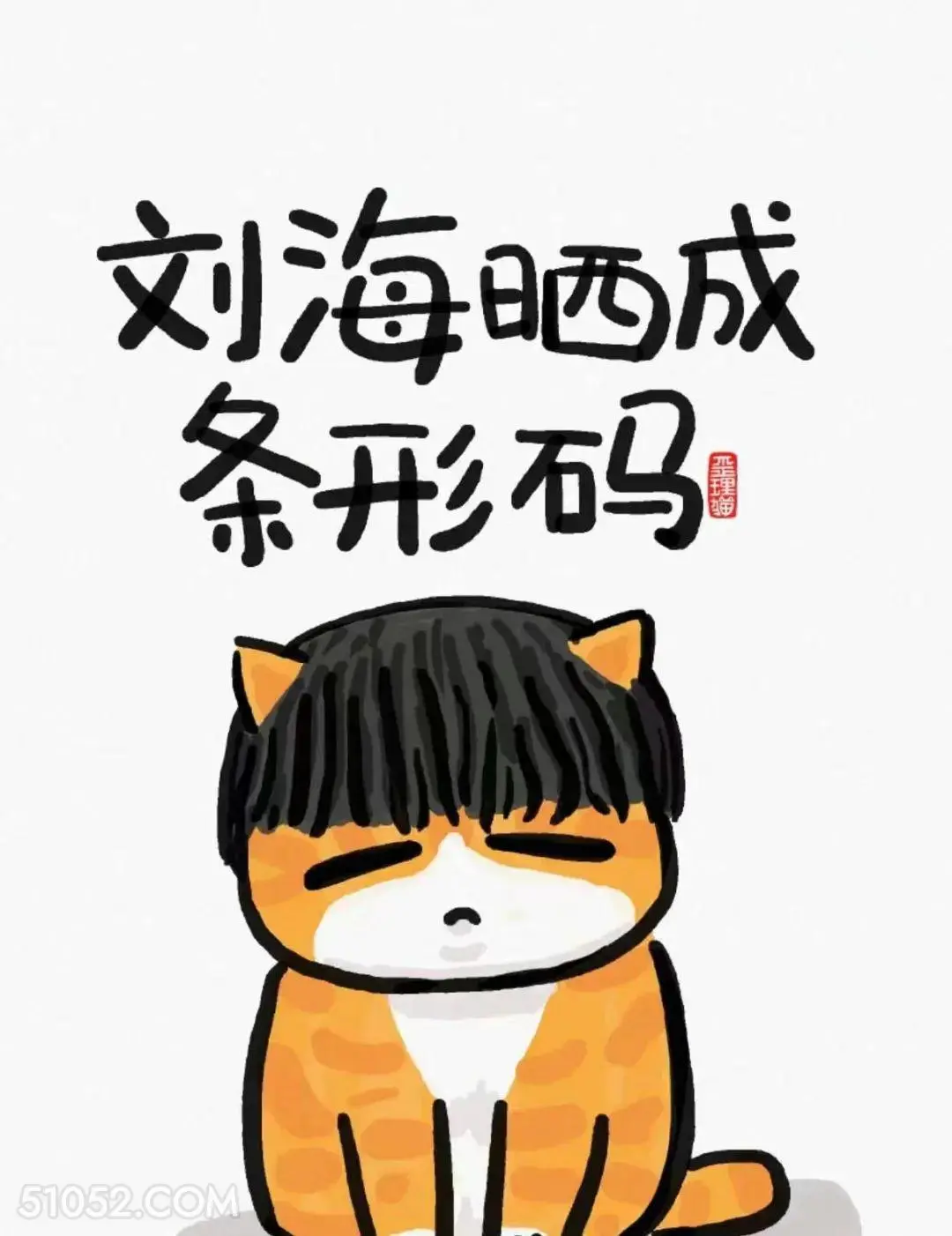 刘海晒成条形码 猫猫 狗狗 天气热 搞笑文案