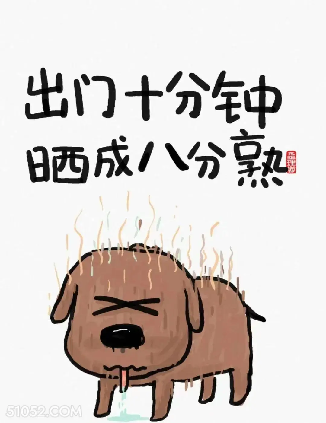 出门十分钟晒成八分熟 猫猫 狗狗 天气热 搞笑文案