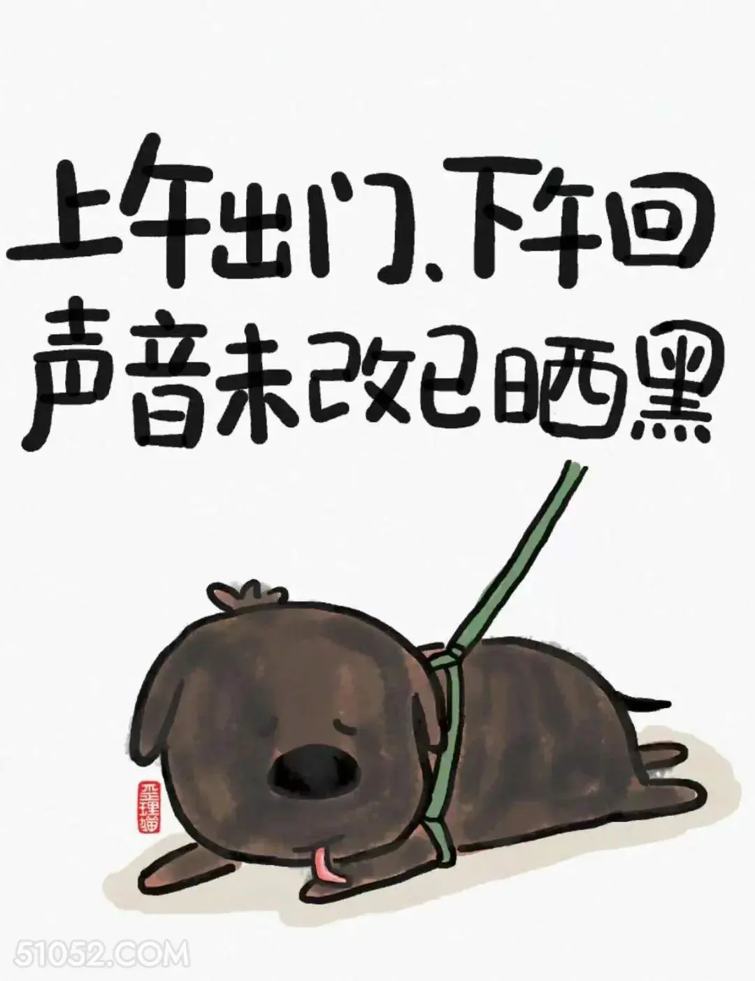 上午出门下午回，声音未改已晒黑 猫猫 狗狗 天气热 搞笑文案
