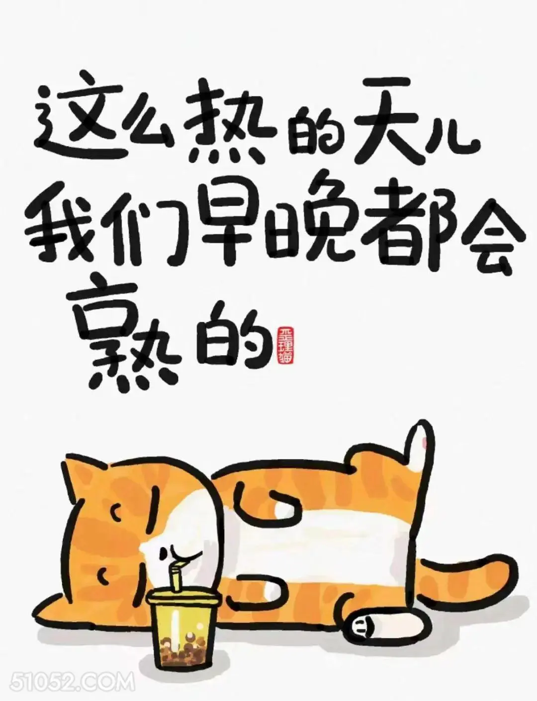 这么热的天我们早晚会熟 猫猫 狗狗 天气热 搞笑文案