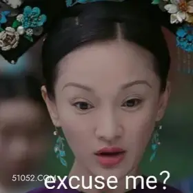 excuse me? 如懿传 影视剧 搞笑表情 霍建华 周迅