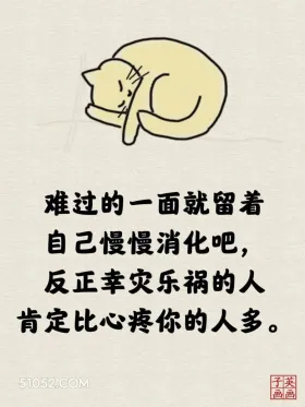 难过就自己慢慢消化吧，幸灾乐祸的比心疼你的多 猫猫 一针见血 现实 文案