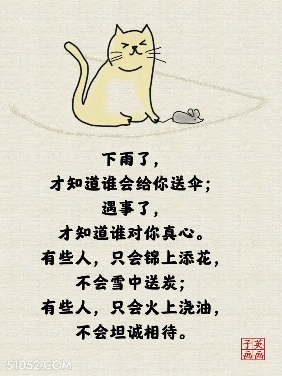 有些人只会锦上添花和火上浇油 猫猫 一针见血 现实 文案