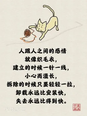 人和人间的感情就像织毛衣 猫猫 一针见血 现实 文案