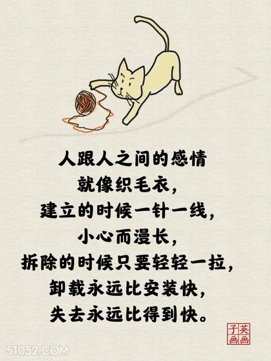 人和人间的感情就像织毛衣 猫猫 一针见血 现实 文案
