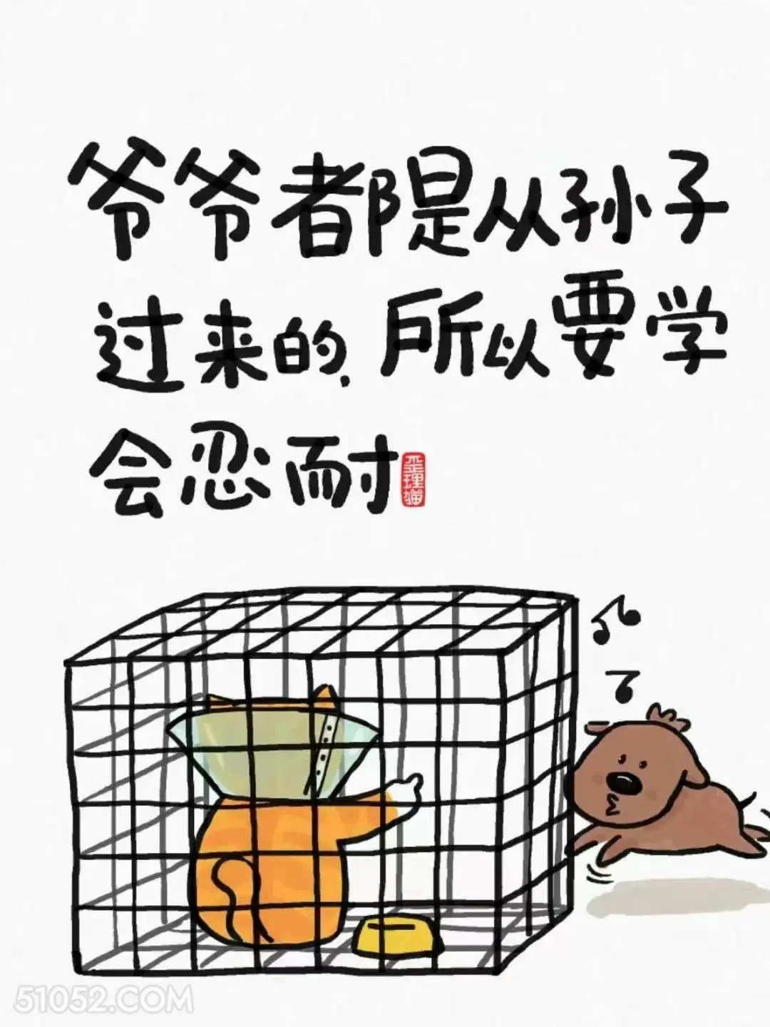 爷爷都是从孙子过来的 猫猫 笑死了 解压 搞笑文案