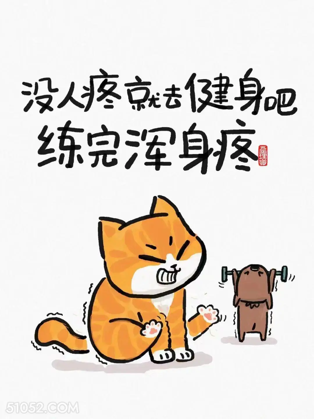 没人疼就去健身，练完浑身疼 猫猫 笑死了 搞笑文案