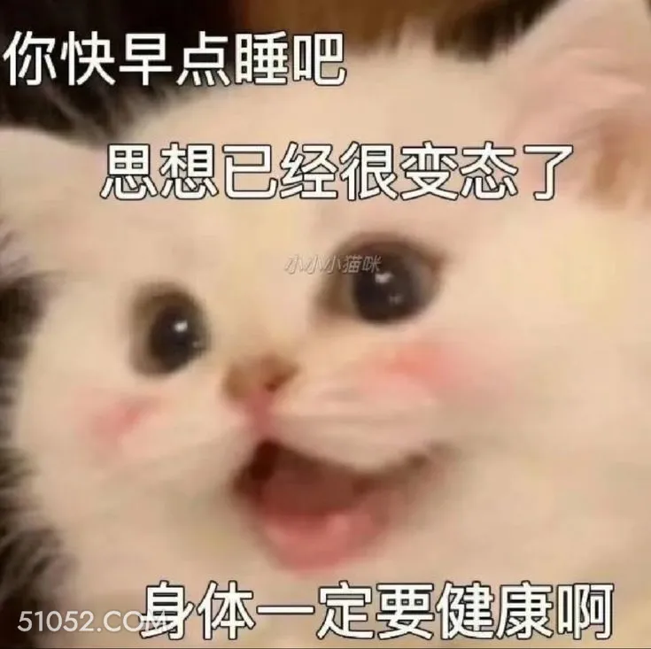 早点睡吧 猫咪 早点睡吧